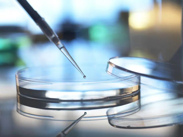 Medical Tourism to Mexico: Stem Cell Therapy