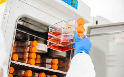 Exosomes vs Stem Cells: A Complete Guide to Regenerative Therapies