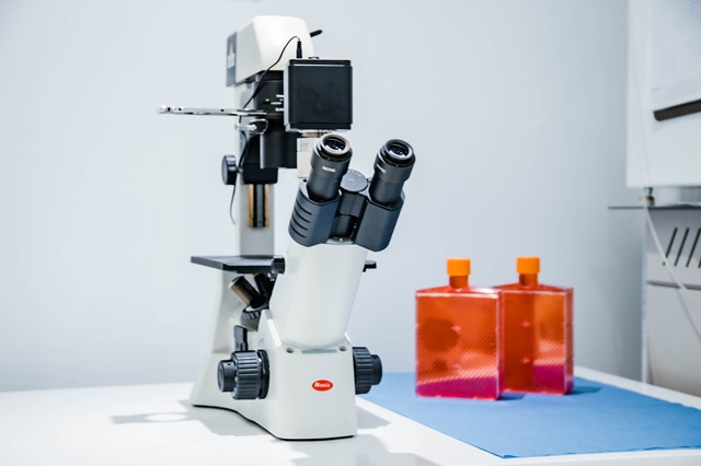 Exosomes vs Stem Cells: A Complete Guide to Regenerative Therapies