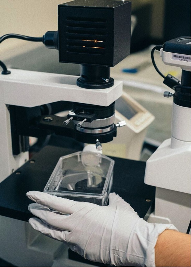 Stem Cell Mexico: Your Complete Guide to Regenerative Medicine Stem Cell Mexico: Your Complete Guide to Regenerative Medicine