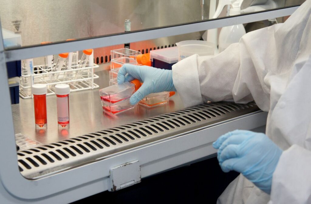 Stem Cell Mexico: Your Complete Guide to Regenerative Medicine