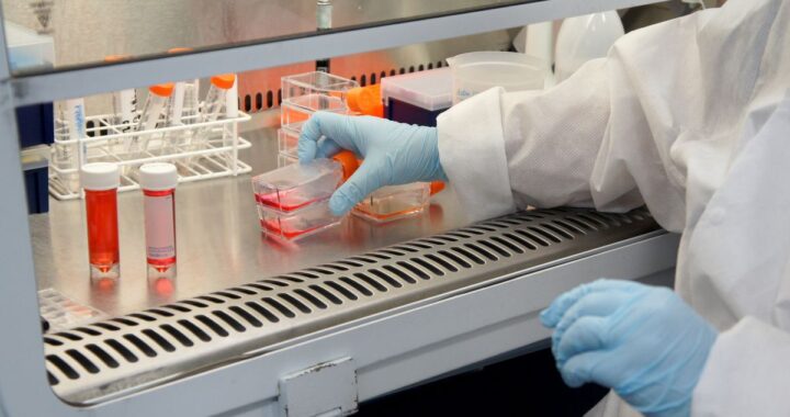 Stem Cell Mexico: Your Complete Guide to Regenerative Medicine