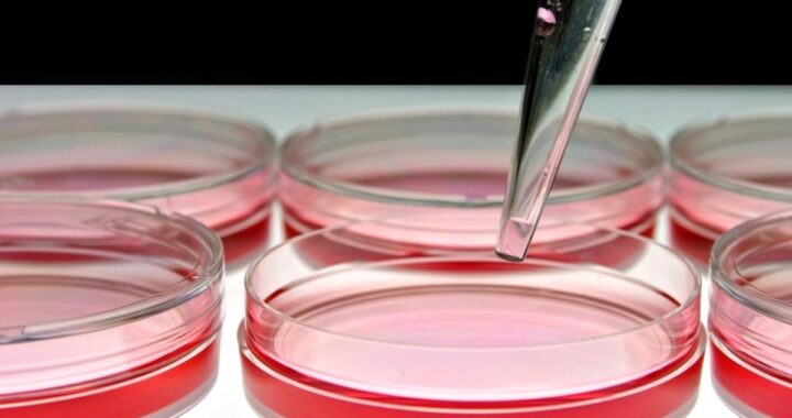 Stem Cell Therapy Success Rates: How to Interpret the Evidence
