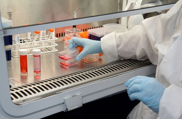 Potential Benefits of Stem Cell Injections Potential Benefits of Stem Cell Injections